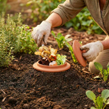Wurmkomposter mit Deckel für Gartenbeete, Naturton, Terrakotta