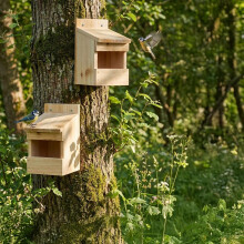 Halbhöhlen-Nistkasten-Set (2er-Set) für Nistplatzbrüter