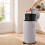 Retro-Tretmülleimer 40 l mit Soft-Close-Deckel, Hellgrau, Eisen 5