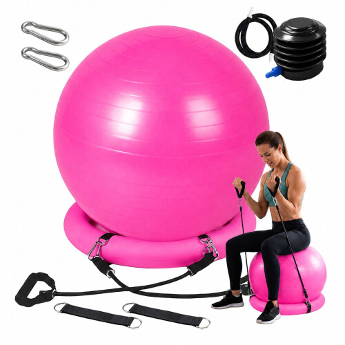 Palla da ginnastica da 65 cm con supporto, elastici di resistenza e pompa, rosa 1