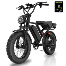 NO20 Electric Bike - 20" Fat Tire, 750W 48V 15.6Ah, 31MPH