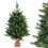 Beleuchteter Mini-Weihnachtsbaum, 60 cm, 35 warmweiße LEDs 6