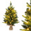 Beleuchteter Mini-Weihnachtsbaum, 60 cm, 35 warmweiße LEDs 7
