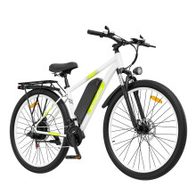 zazawork 29'' 48V 15AH Electric Bike EMTB