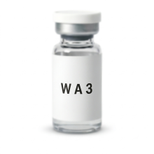 (3ml, 1vials) WA3-ml-Fläschchen aus Borosilikatglas, versiegelte Aluminiumkappe und Butylkautschukstopfen