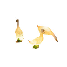 Elegante witte gans tuinlamp - decoratieve, op dieren geïnspireerde tuinverlichting