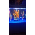 Fish Tank Cabinet - White | Large Fish Tank Aquarium Review Image