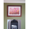 Siobhan McEvoy (Cosmos Flower Meadow) Review Image