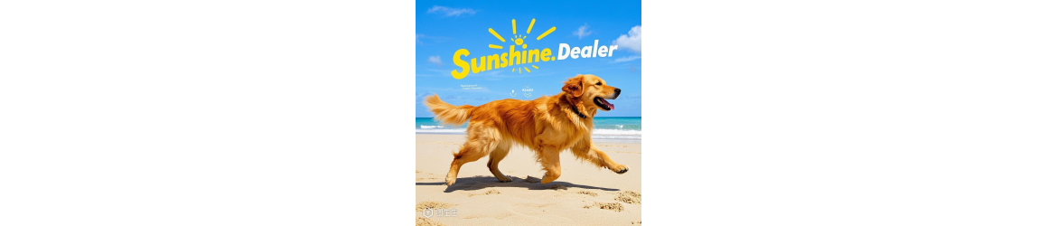 Sunshine_Dealer cover